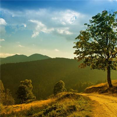 澳门第一娱乐娱城官网